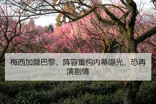 梅西加盟巴黎，阵容重构内幕曝光，恐再演剧情